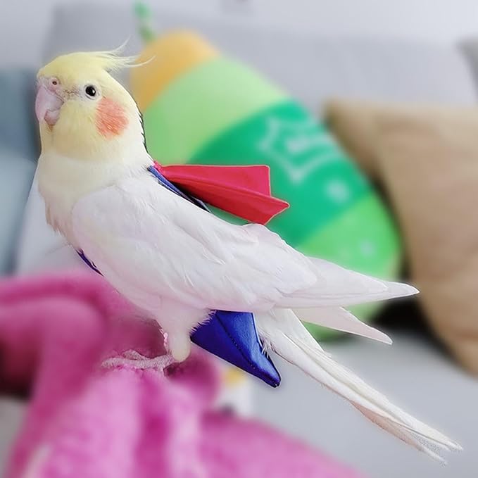 Parrot Flight Suit Diaper (Without Leash) - Reusable Bird Diaper for Budgies, Lovebirds, Cockatiels, and More - Fabric Bird Suit (Blue Superman-M)