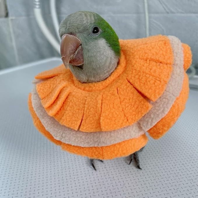 Bird Collar Anti Bite Elizabethan Recovery Cone, Bird Neck Protector for Feather Plucking, Bird Neckwear Full Body Shield for Parakeet Color Randomly (Green-cheeked Conure)