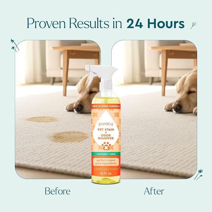 Puracy Pet Stain and Odor Remover - Enzyme Cleaner for Dog Urine and Poop Carpet - Cat Pee Enzyme Cleaner for Cat Urine - Cucumber & Mint, 48oz