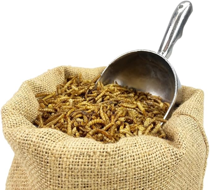 Chubby Dried Mealworms | 22 lbs | High-Protein Non-GMO Treats for Chickens, Ducks, Wild Birds & Backyard Pets