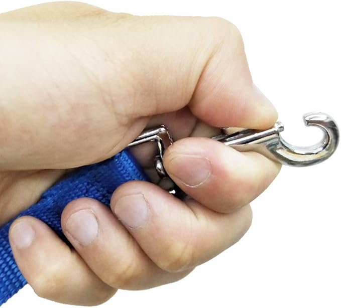 Nylon Training Dog Leash for Small Medium Large Dogs, 15ft 20ft 30ft 50ft Long Leash Dog/Puppy Lead for Obedience Recall Training, Camping (1" x 30ft, Blue)