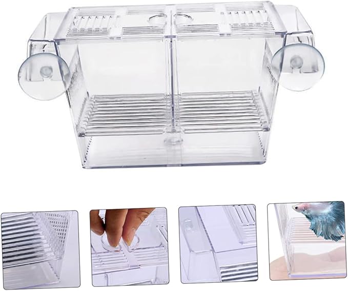 BESPORTBLE Floating Fish Incubation Box Observation Fry Breeding Tank Suction Cup for Aquarium