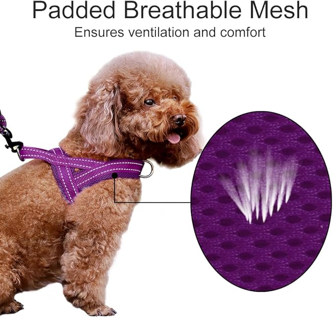 Plutus Pet No Pull Dog Harness with Breathable Mesh Padded, Adjustable Reflective Escape Proof Dog Harness, Quick Fit Dog Vest Harness for Small Medium Large Dogs(XXS, Purple)