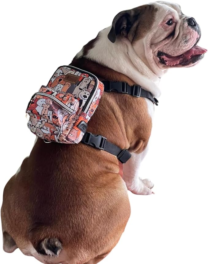 PawLook Design Dog Backpack Harness with Leash-Stylish Dogbagpack-Poop Bag Dispenser Dog Backpack-Dog Self Carrier Backpack-Dog Bag Vest with D-Ring-Backpack for Dogs to Wear-1 Piece (Paws, S)