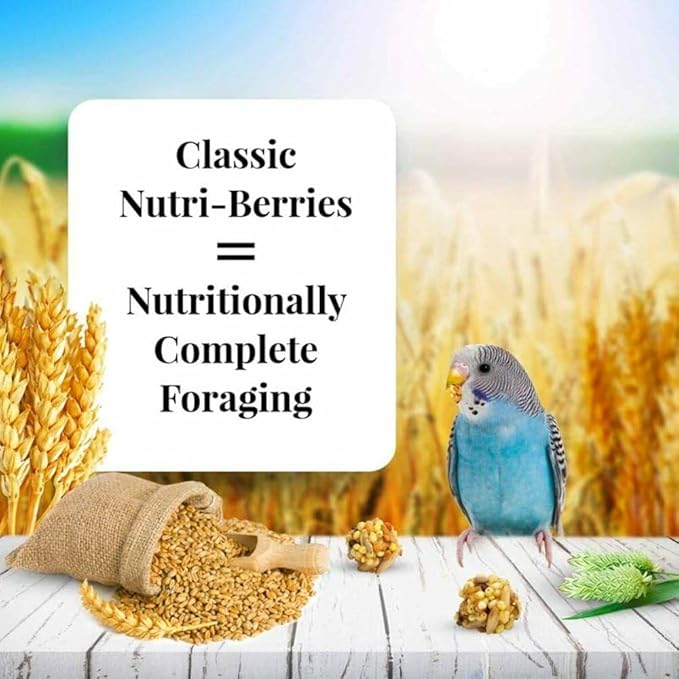 LAFEBER'S Classic Nutri-Berries Pet Bird Food, Made with Non-GMO and Human-Grade Ingredients, for Parakeets (Budgies), 10 oz