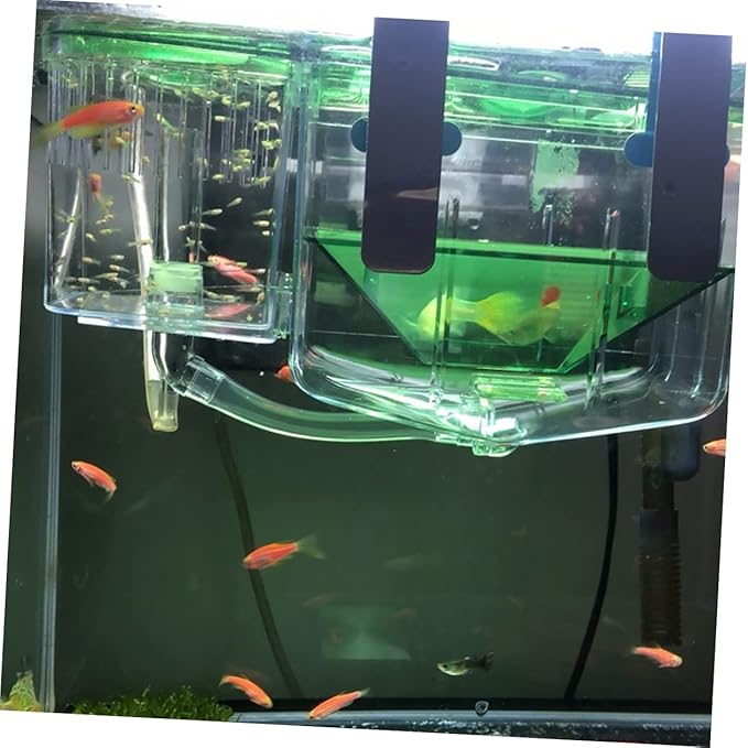 Totority Small Fish Tank Breeding Box Aquarium Incubator Box Isolation Rooms Fish Eggs Breeding Tank for Betta Acrylic