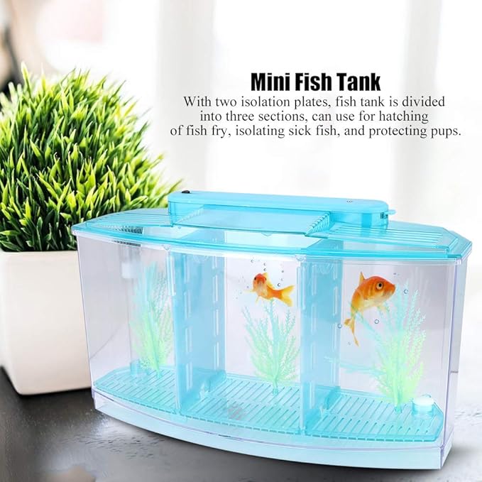 Small Fish Isolation Fish Tank, LED Acrylic Aquarium Fish Tank, Transparent Fish Isolation Box with 2 Isolation Plates for Small Fishes Betta Shrimp Guppy (Blue)