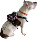 Pawlook Dog Backpack Harness – Street Smart | Waterproof, Adjustable, Breathable – Leash Attachment D-Rings, Poop Bag Pocket – Small & Medium Dogs – 8 Styles Paws Up Small