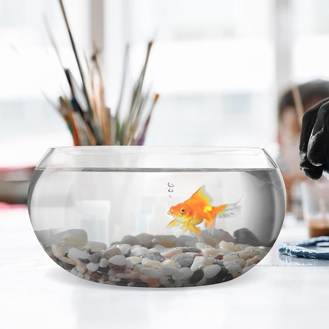 BESPORTBLE Glass Goldfish Bowl Fish Tank Hydroponic Plant Planter 25l Desk Aquarium for Office Home Decor