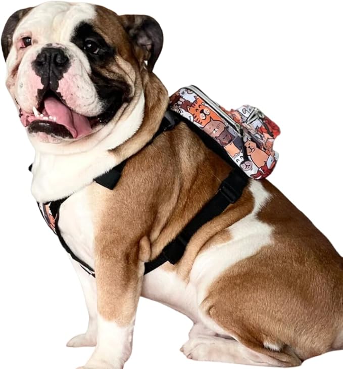 Pawlook Dog Backpack Harness – Street Smart | Waterproof, Adjustable, Breathable – Leash Attachment D-Rings, Poop Bag Pocket – Small & Medium Dogs – 8 Styles Paws Medium
