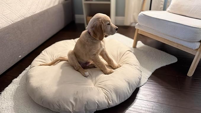 Round Dog Bed Insert Natural – Muslin Cotton Cover with Raw Cotton Filling, Breathable, Plastic-Free, Replacement Cushion (Large 35" x 4")