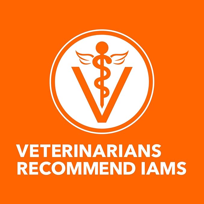 IAMS Healthy Enjoyment Dry Cat Food Chicken & Salmon Recipe, Cat Food Dry Recipe, 15 lb. Bag