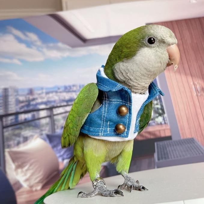 Bird Costume Bird Diaper Flight Suit Bird Jeans Fake Two Pieces Bird Clothes Cosplay Photo Prop for Parrots Lovebird Parakeet Cockatiel Small Animals Apparel (with Diaper,Amazon)
