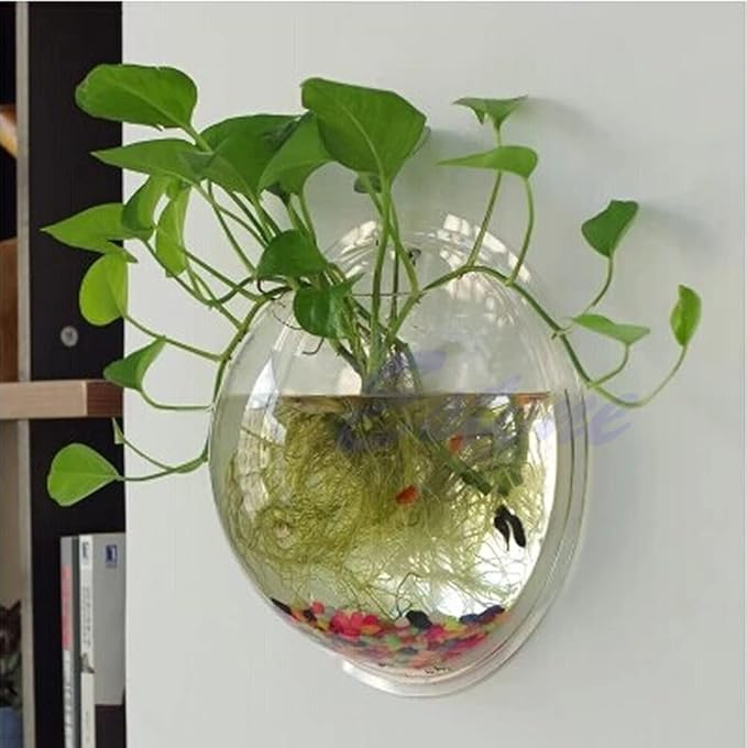 Fish Tank Wall Mounted Fish Tank Acrylic Wall Mounted Plant Fish Tank Decorative Planter Glass Bowl Fish Tank Kit Glass Fish Tank
