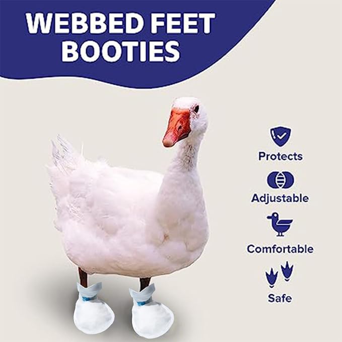 MANON ROSA Duck Shoes for Real Ducks Chickens 6-Pair Waterproof & Disposable Booties with Self-Adhesive Bandage for Waterfowl Wound Foot Care Bumblefoot (Waterproof Version,Medium)