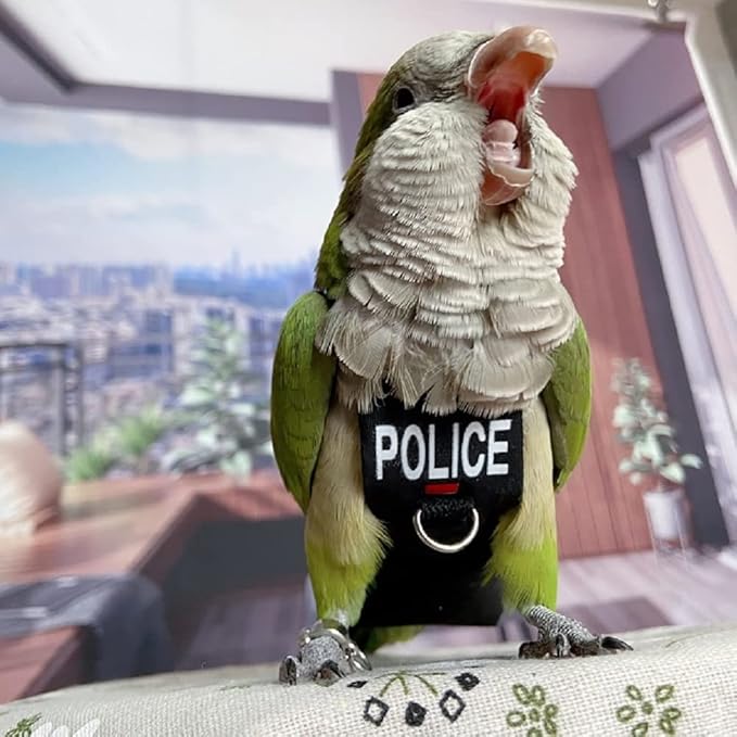 Bird Clothes Parrot Diapers Bird Flight Suits, Reusable Waterproof Diapers pet Bird Supplies (XL)