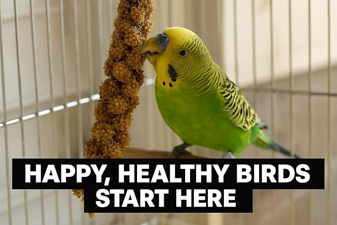 Birds LOVE 2lbs French Kissed Spray Millet for Birds – Harvested in France & Packed in The USA – 100% Natural & Sun‑Dried Millet Spray for Parakeets, Cockatiels, Conures, Parrots & Budgies
