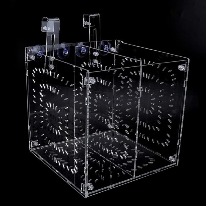 Fish Tank Breeding Box Acrylic Isolation Incubation, Adjustable Height, Transparent - Durable Material, Stable Attachment, Ideal for Aggressive and Sick Fish (20MC *20CM*20CM)