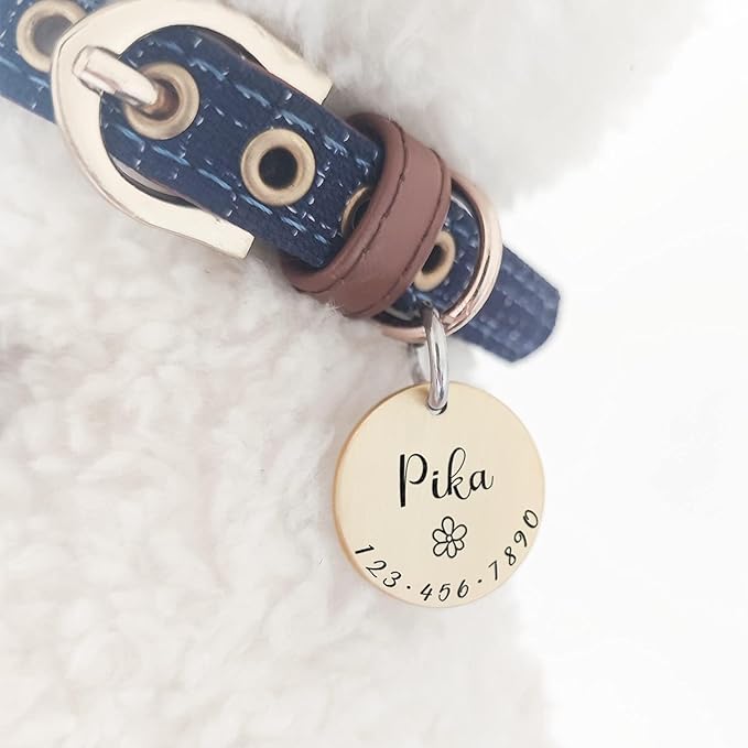 Cats Dogs ID Tags Personalized Lovely Symbols Pets Collar Name Accessories Simple Custom Engraved Supplies for Small Four Legged Child Necklace Chain Anti-Lost Shiny Stainless Steel 316L Charm