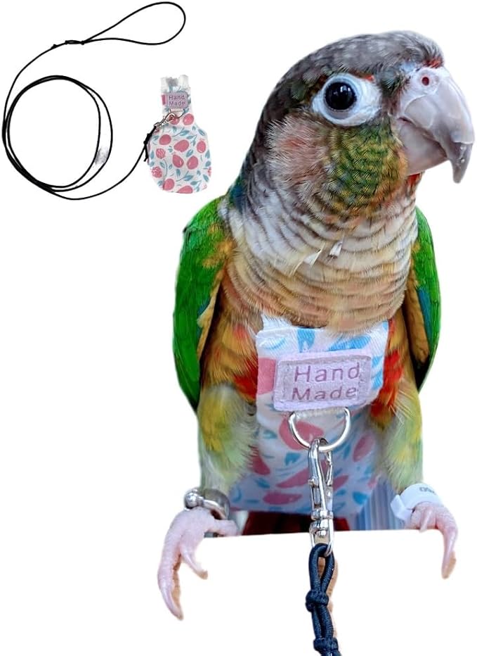 Bird Clothes Parrot Diapers Bird Flight Suits, Reusable Waterproof Diapers pet Bird Supplies (Without Rope, 2M)