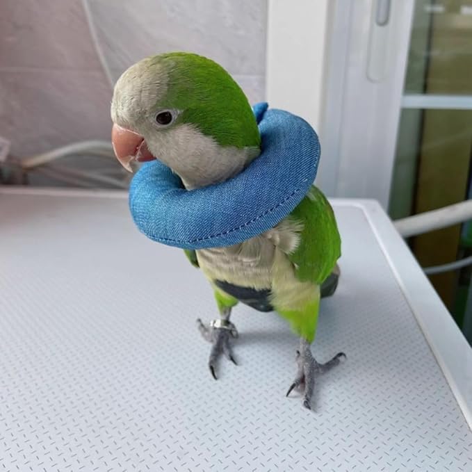 Parrot Neck Collar Pet Anti-bite Picking Feather Healing Protective Neck Cover Collar for Birds Conures Cockatiels Lovebirds Budgies Cockatoos African Grey Random Color (S)