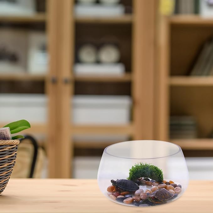 Small Round Glass Fish Bowl Aquarium Thickened Glass Terrarium Vase for Desktop Hydroponic Plants and Goldfish, 20cm Turtle Tank for Home Micro Landscape