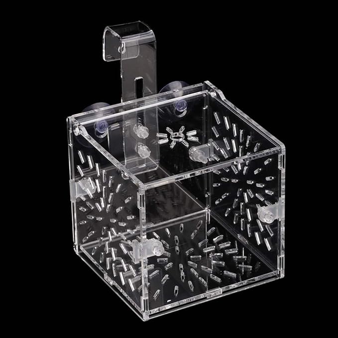 Fish Breeding Incubator, Fish Tank Hook Sucker Design Stable Fish Incubator Box for Breeding for Isolation(10CM*10CM*10CM)