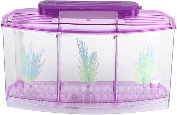 Aquarium Fish Led Light Kid Friendly Small Fish Three Divisions Breeding Isolation Mini Aquarium komplettset LED Acrylic Box Betta for Small Fishes()
