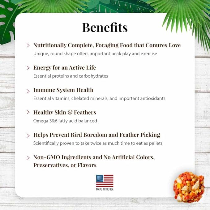 LAFEBER'S Tropical Fruit Nutri-Berries Conure Food, Made with Non-GMO and Human-Grade Ingredients, for Conures (Tropical Fruit 10 oz Pack of 2)