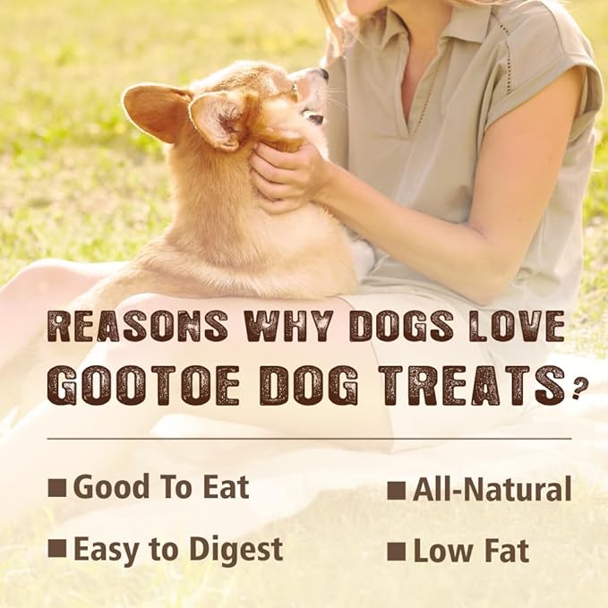 Gootoe Soft Turkey Tendon Stirip 1 lb, Natural Chewy Snack, USA-Sourced Turkey Tendon, Premium Training Chew, Hypoallergenic, Reseal Value Bag, Ideal for Small& Senior Dog, Jumbo Pack