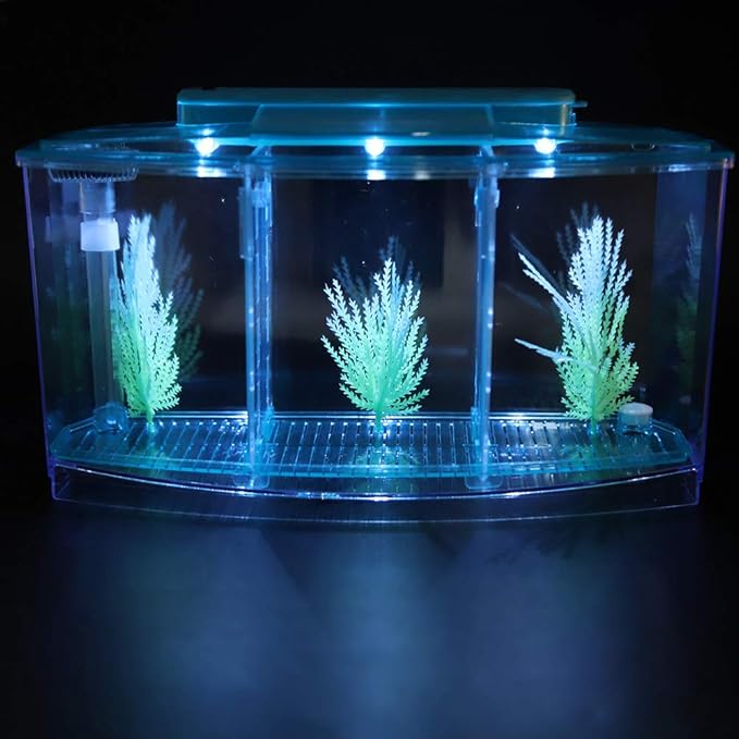 Aquarium Isolation Box Acrylic Breeding Hatchery Small Fishes Incubator Mini Fish Tank LED Acrylic Three Divisions Breeding Isolation Box for Small Fishes(Blue)