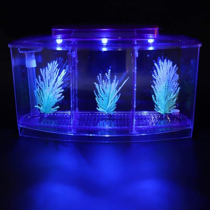 HEEPDD Triple Chamber Fish Breeder Box for Aquarium, Transparent Acrylic Small Fishes Breeding Isolation Box with Six LED Lights and Water Change Valve Breeder for Fish Tank (Purple)
