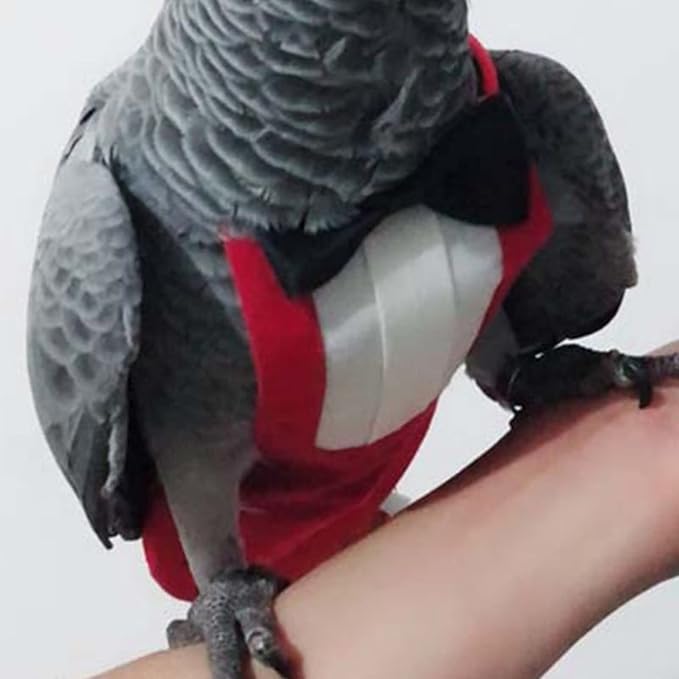 Bird Flight Suits Diapers, Parrot Flight Suits Diapers for Monk Parakeets, Cockatiels Flight Suits, Parrot Clothes, Bird Training Nappy Suit Liners Clothes (X-Large,Red)
