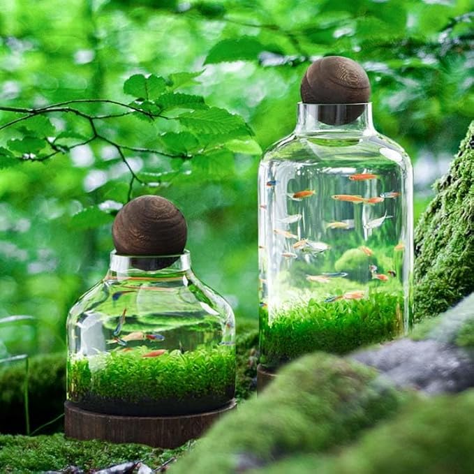 Glass Aquarium Fish Tank Plant Terrarium Bowl Micro Ecological Landscape Self-circulating Plant Vase Desktop Planter Jars Breeder Box, B