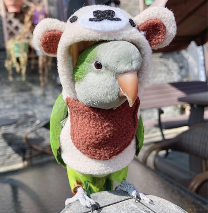 Bird Costume Bird Diaper Flight Suit Bird Bear Shape Bird Clothes Cosplay Photo Prop for Parrots Lovebird Parakeet Cockatiel Small Animals Apparel (with Diaper,Sun Conure)