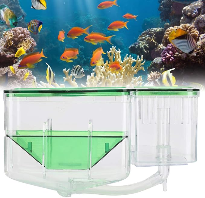 Fish Breeding Box, Transparent Isolation Box Acclimation Hatchery Incubator for Baby Fish Betta Shrimp Clownfish and Guppy