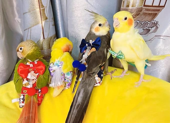 Bird Flight Suits Diapers, Parrot Diapers for Monk Parakeets, Cockatiels, Parrot Clothes Costume, Bird Training Nappy Suit Liners Clothes (Large,Blue-B)