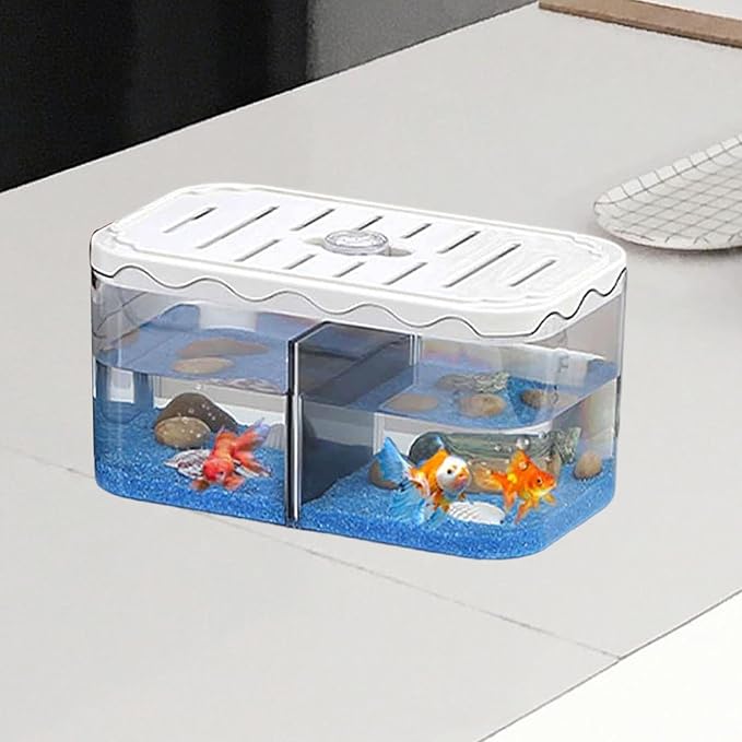 Small Fish Tank Aquarium Breeding Box Table Centerpieces Box Acclimation Hatchery for Fishes, White