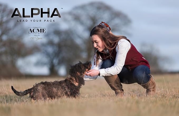 ACME Alpha 210.5 Dog Training Whistle with Enhanced Ergonomic Grip. BPA-Free Plastic. 110 dBA. Standardized Frequency for Smaller Dogs. Weatherproof. Made in The UK (Black on Day Glow Orange)