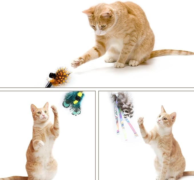 Hokaad Cat Insect Feather Toys - Feather Wand & 6 Natural Insect Refills - Interactive Cat Teaser with Bell