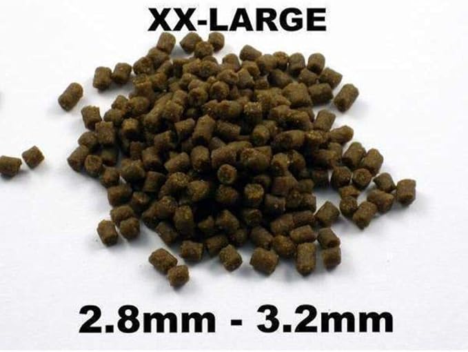 Bassleer Regular BioFish Food - Formulated for Optimal Fish Health (Lrg, 150g)