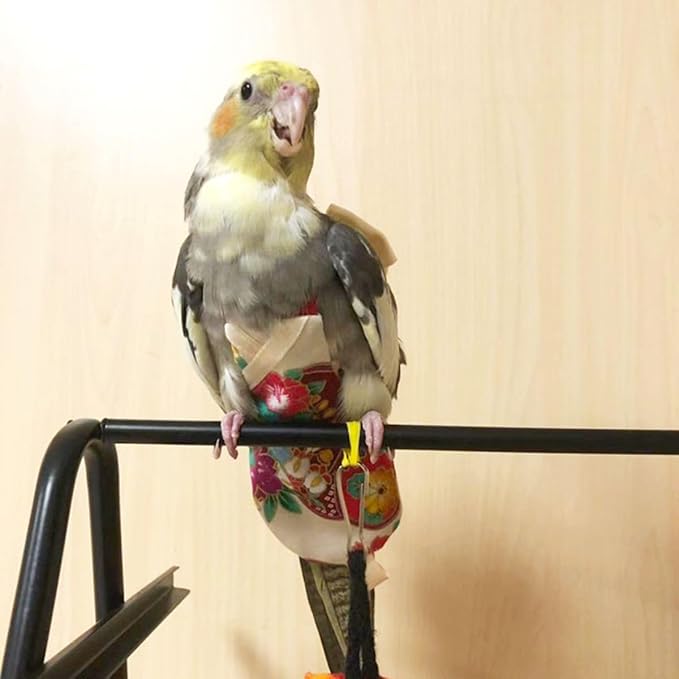 Bird Flight Suits Diapers, Parrot Flight Suits Diapers for Quaker Parakeets Cockatiels Flight Suits, Parrot Clothes (Almond B,2XL)
