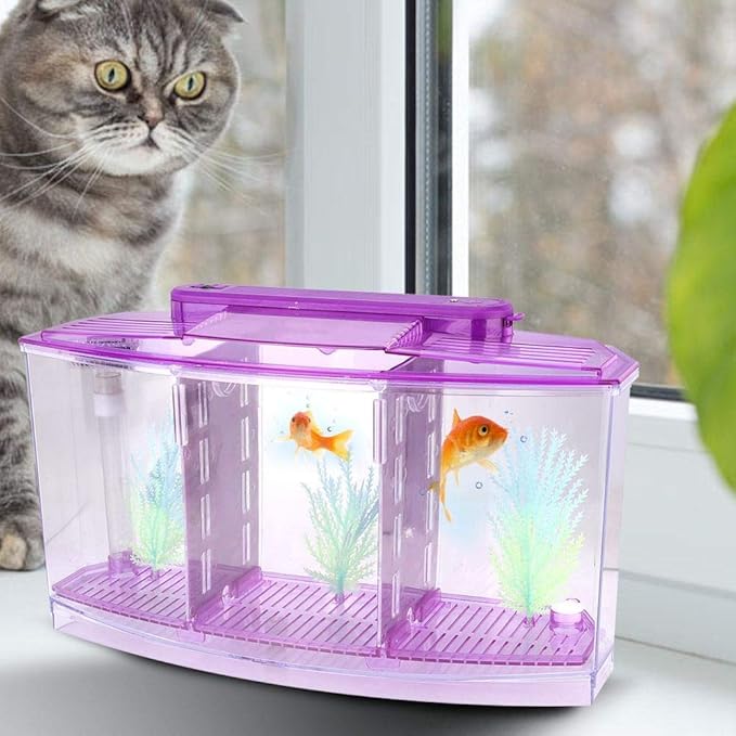 Acrylic Aquarium Isolation Box,Mini Fish Tank Breeding Hatchery Small Fishes Incubator with Three Divisions and LED Light(Purple)