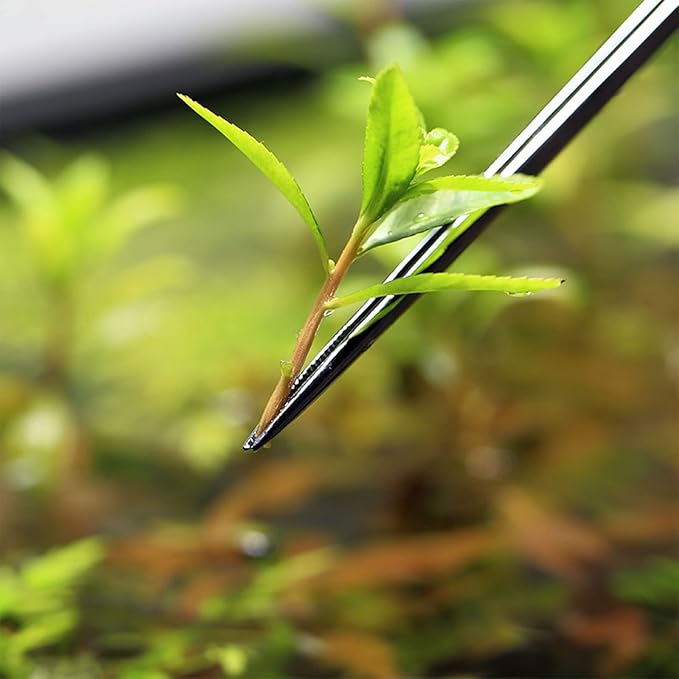 10in 13in 18in Aquarium Tweezers Stainless Steel Curved Straight Tweezer for Plant Reptiles Feeding Tongs