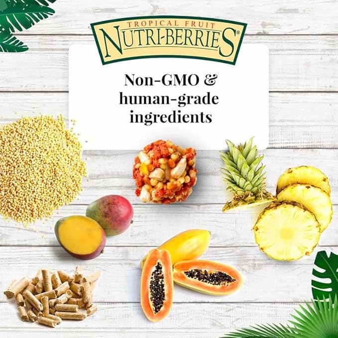 LAFEBER'S Tropical Fruit Nutri-Berries Conure Food, Made with Non-GMO and Human-Grade Ingredients, for Conures (Tropical Fruit 10 oz Pack of 2)