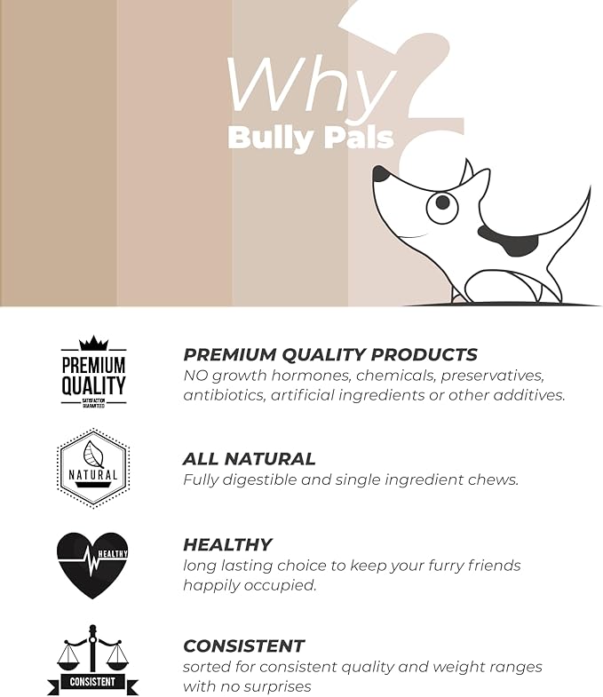 6 inch Thin Bully Sticks for Small Dogs and Puppies - 20 Pack - All Natural, Single Ingredient, Easily Digestible, All Beef Dog Treats and Rawhide Free Dental Chew Bones for Dogs