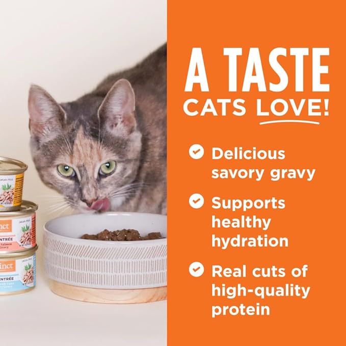 Instinct Flaked Entrée Wet Canned Cat Food - Salmon, 3 Ounce (Pack of 24)