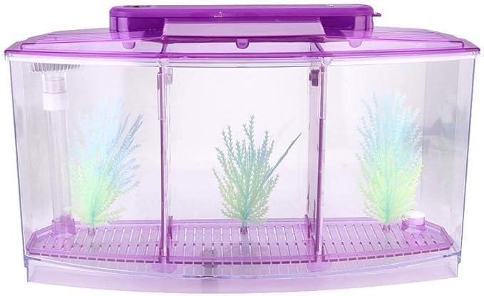 Acrylic Aquarium Isolation Box,Mini Fish Tank Breeding Hatchery Small Fishes Incubator with Three Divisions and LED Light(Purple)