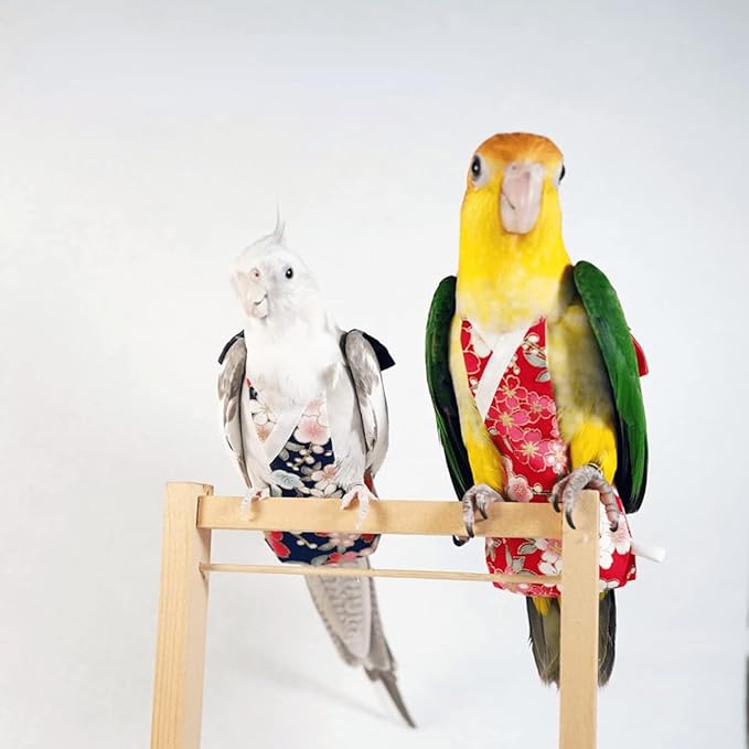 Bird Flight Suits Diapers, Parrot Flight Suits Diapers for Monk Parakeets, Cockatiels Flight Suits, Parrot Clothes, Bird Training Nappy Suit Liners Clothes (Small,Red-C)