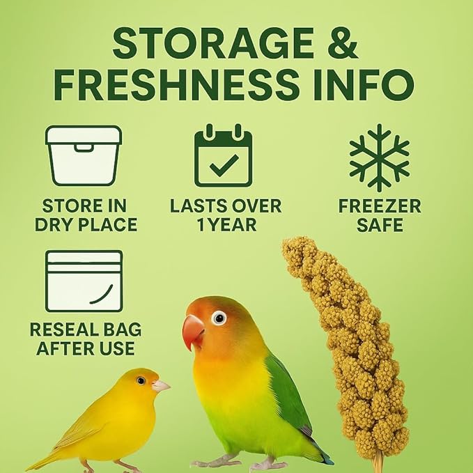 Birds LOVE 2lbs French Kissed Spray Millet for Birds – Harvested in France & Packed in The USA – 100% Natural & Sun‑Dried Millet Spray for Parakeets, Cockatiels, Conures, Parrots & Budgies